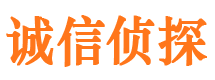 安新市私家侦探公司